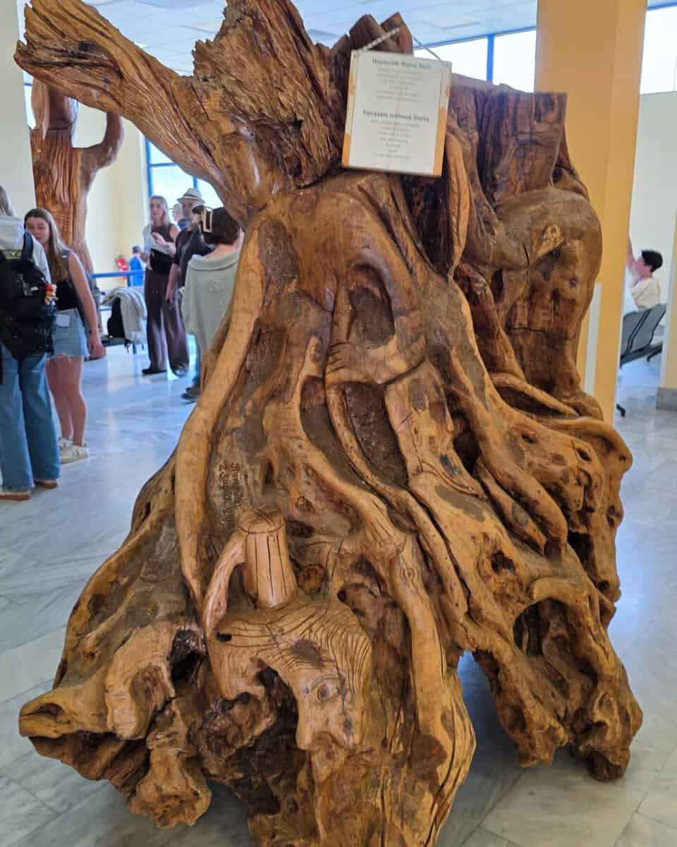 Strange Wooden Carving on display at Ikaria Airport